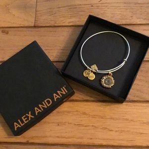 alex and ani bangle
